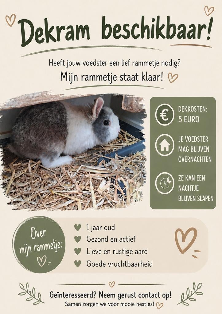 Dekram (zie foto), Februari, Mannelijk, Overige typen, Tam