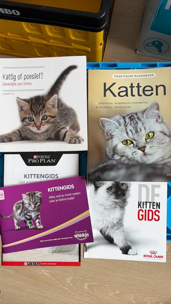Hannelore Grimm - Katten, Boeken, Dieren en Huisdieren, Gelezen, Katten, Ophalen of Verzenden