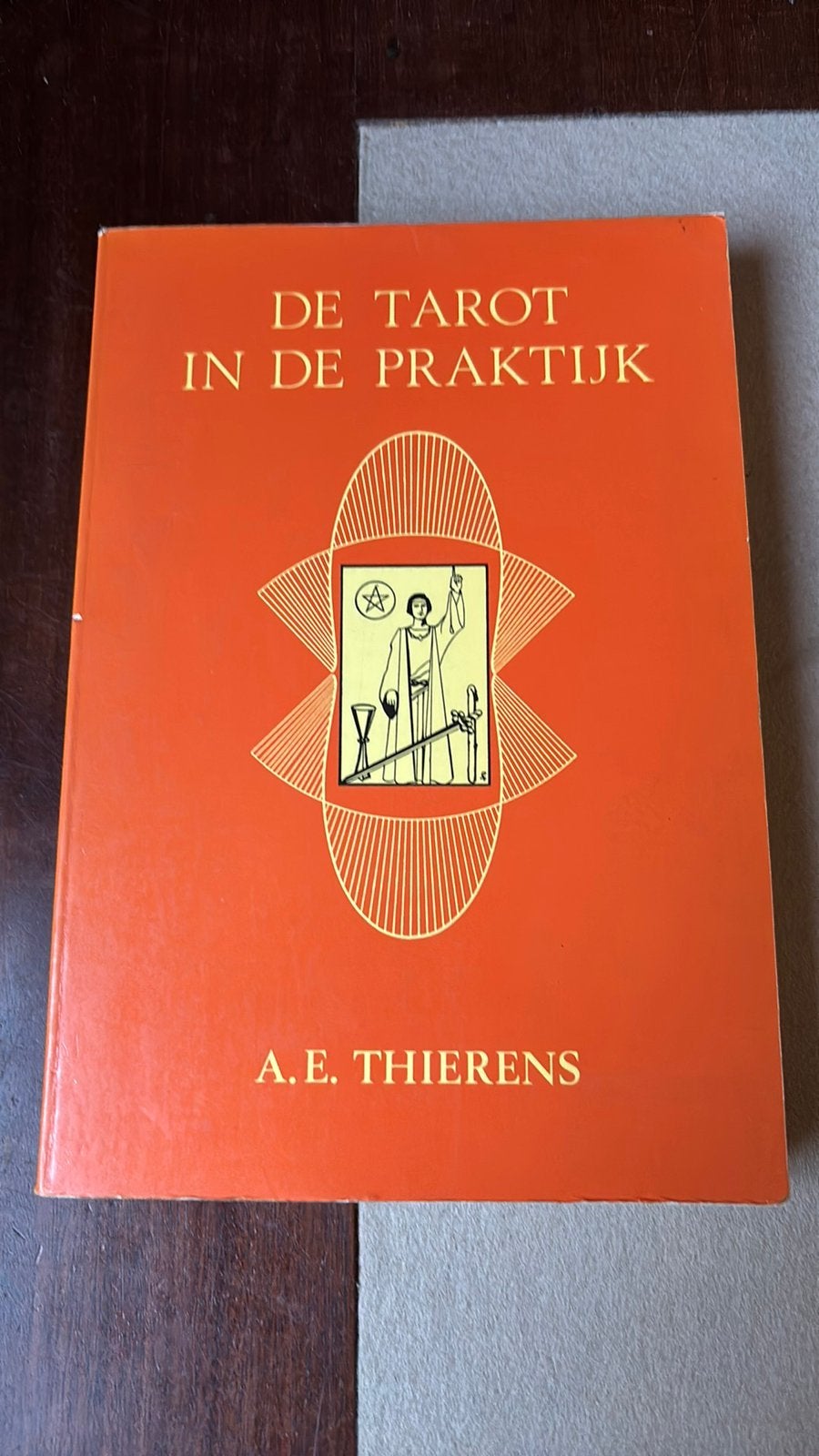 De tarot in de praktijk, Boeken, Ophalen of Verzenden, Gelezen, Tarot of Kaarten leggen, Overige typen