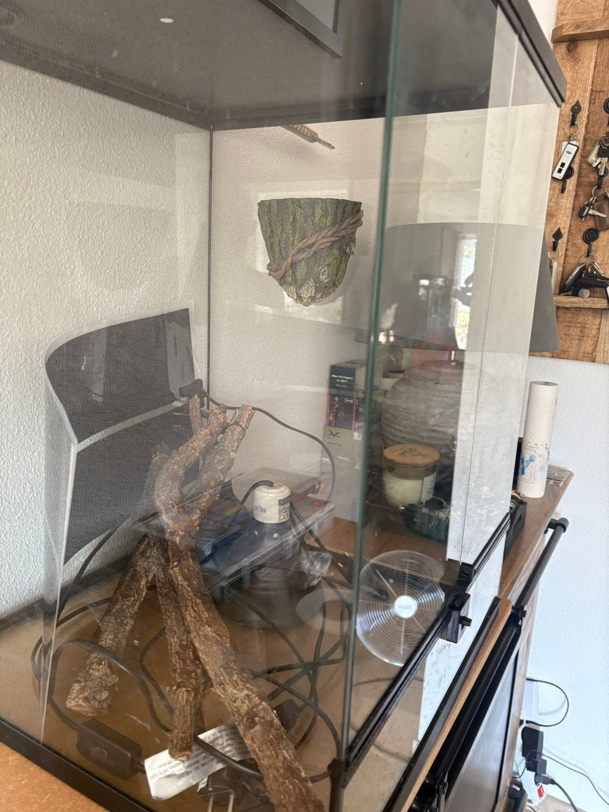 Terrarium, Ophalen, Zo goed als nieuw