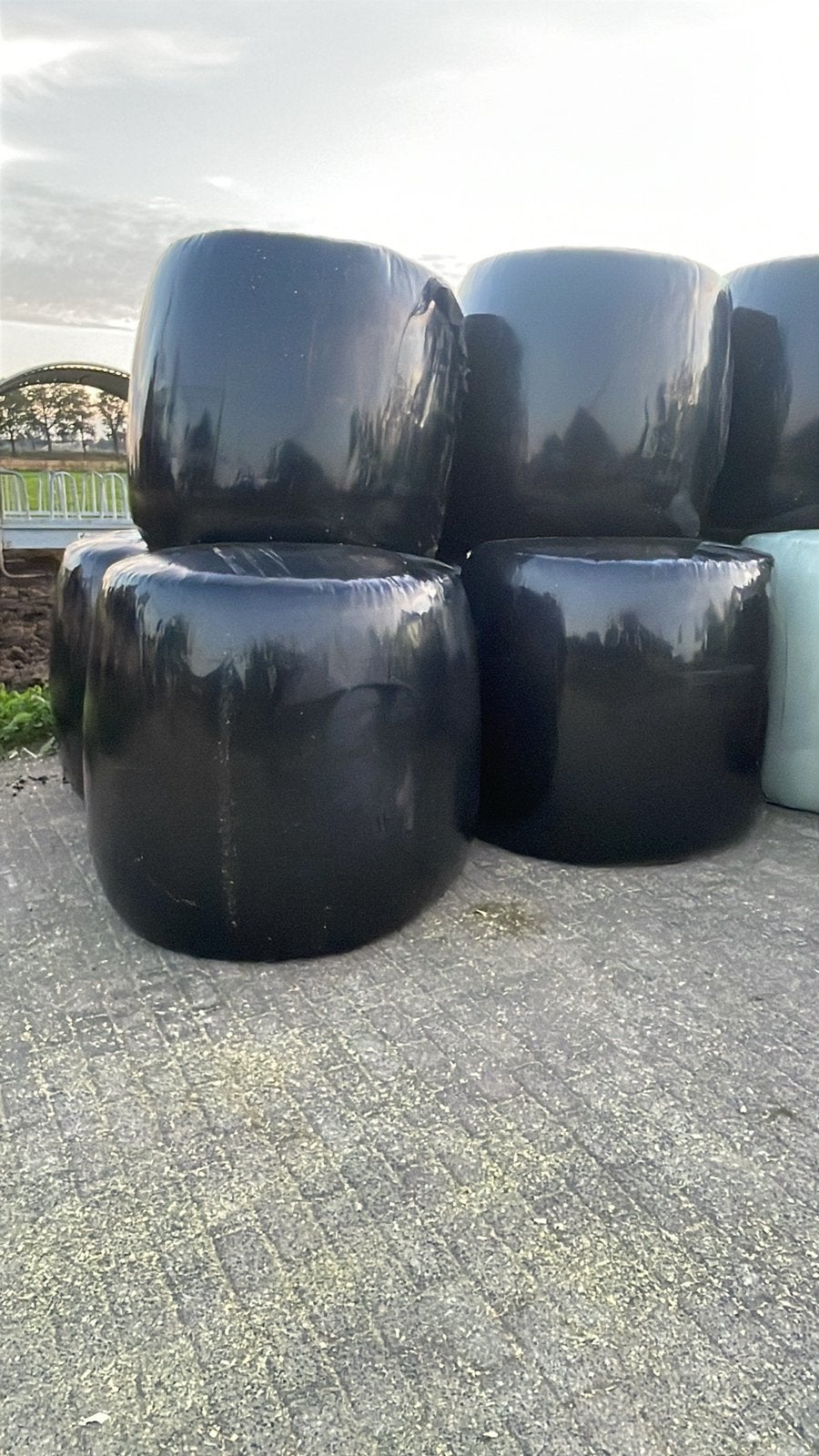 Maisbalen, Ophalen, Vee