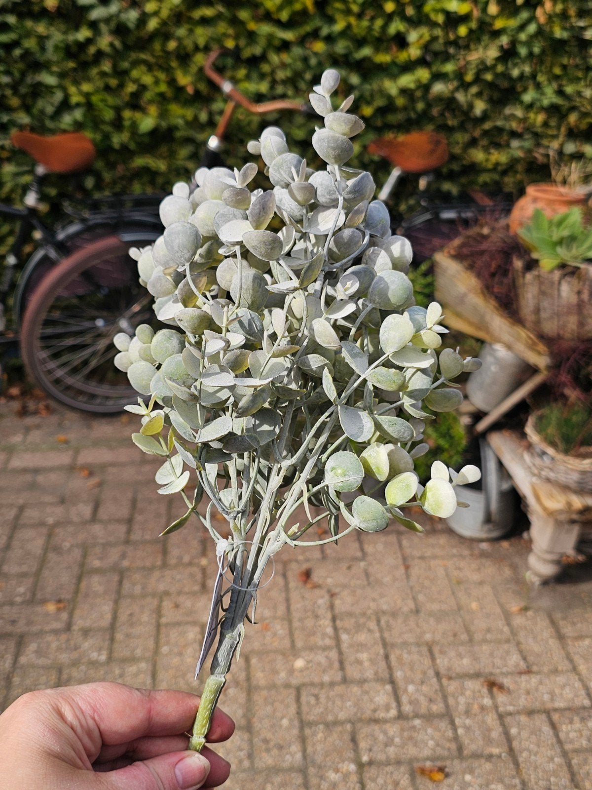 Kunst Eucalyptus Tak - Realistisch en Onderhoudsvrij, Groen, Nieuw, Ophalen of Verzenden, Kunststof