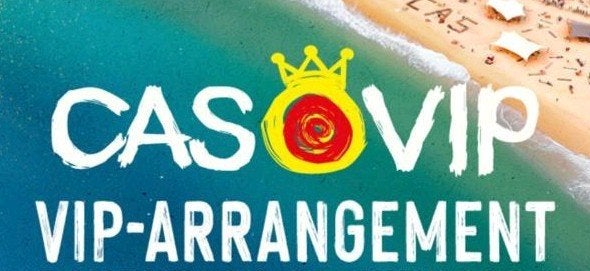 Gezocht: 1 VIP kaart zaterdag Concert at Sea., Tickets en Kaartjes, Eén persoon