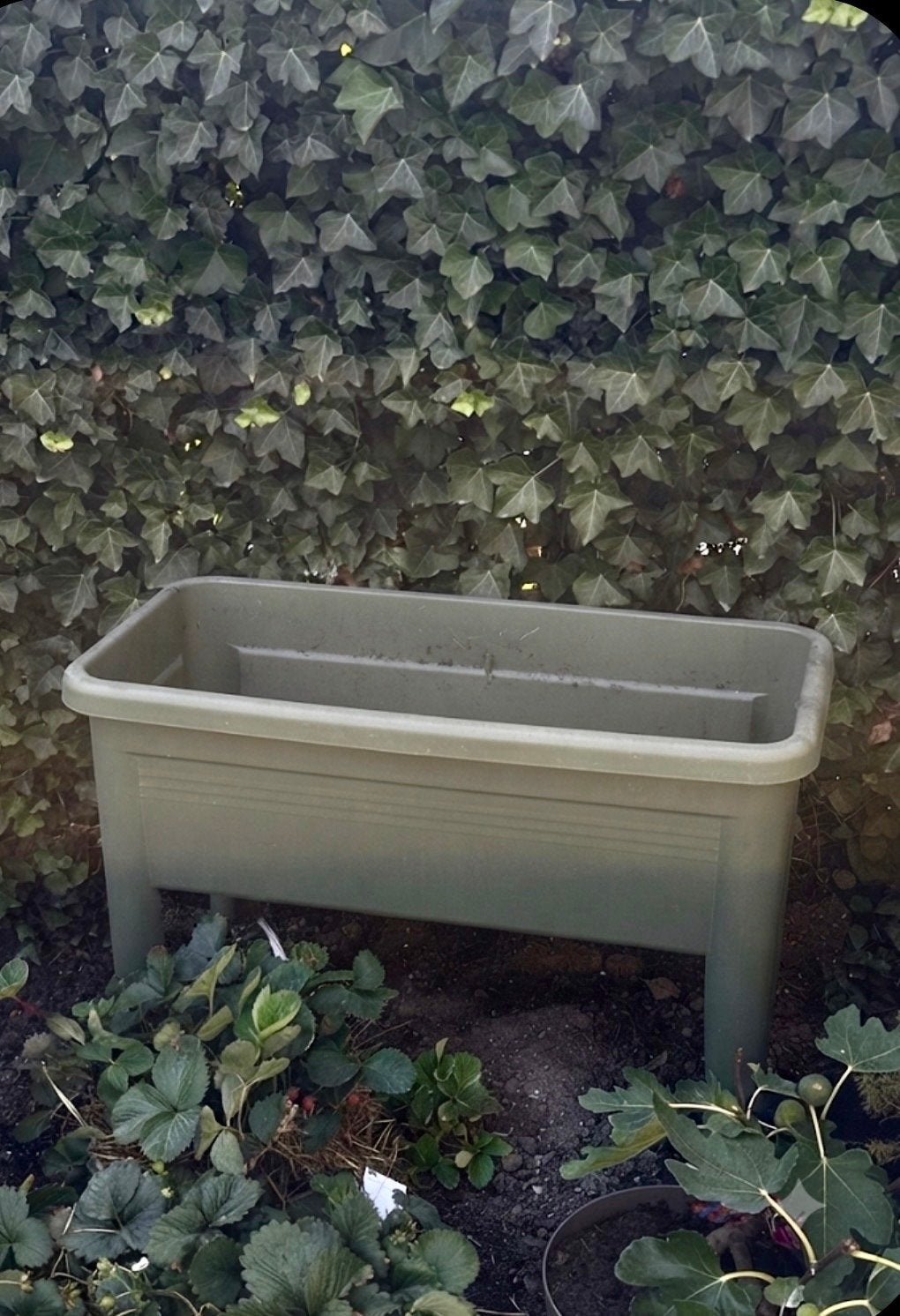 Grote kunststof plantenbak voor tuin of balkon, Ophalen, Kunststof, Gebruikt, Balkon