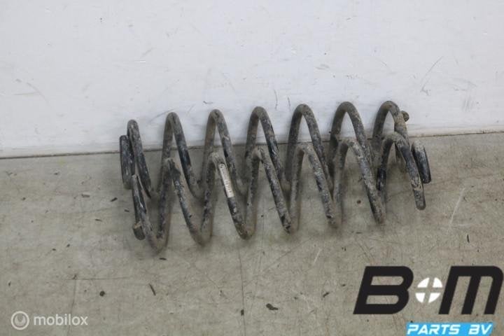 Set achterveren VW Golf 4 1J0511115AE, Gebruikt