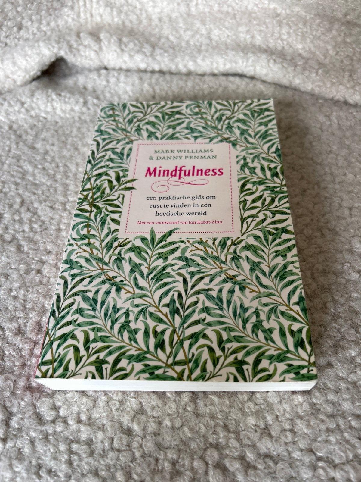 Mindfulness: Rust vinden in een hectische wereld, Boeken, Ophalen of Verzenden, Zo goed als nieuw, Meditatie of Yoga, Instructieboek