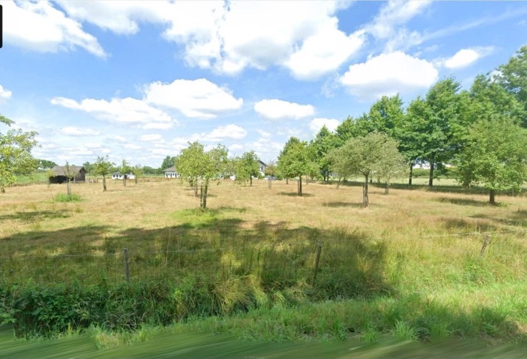 Weide te huur, Dieren en Toebehoren, Weidegang, 2 of 3 paarden of pony's