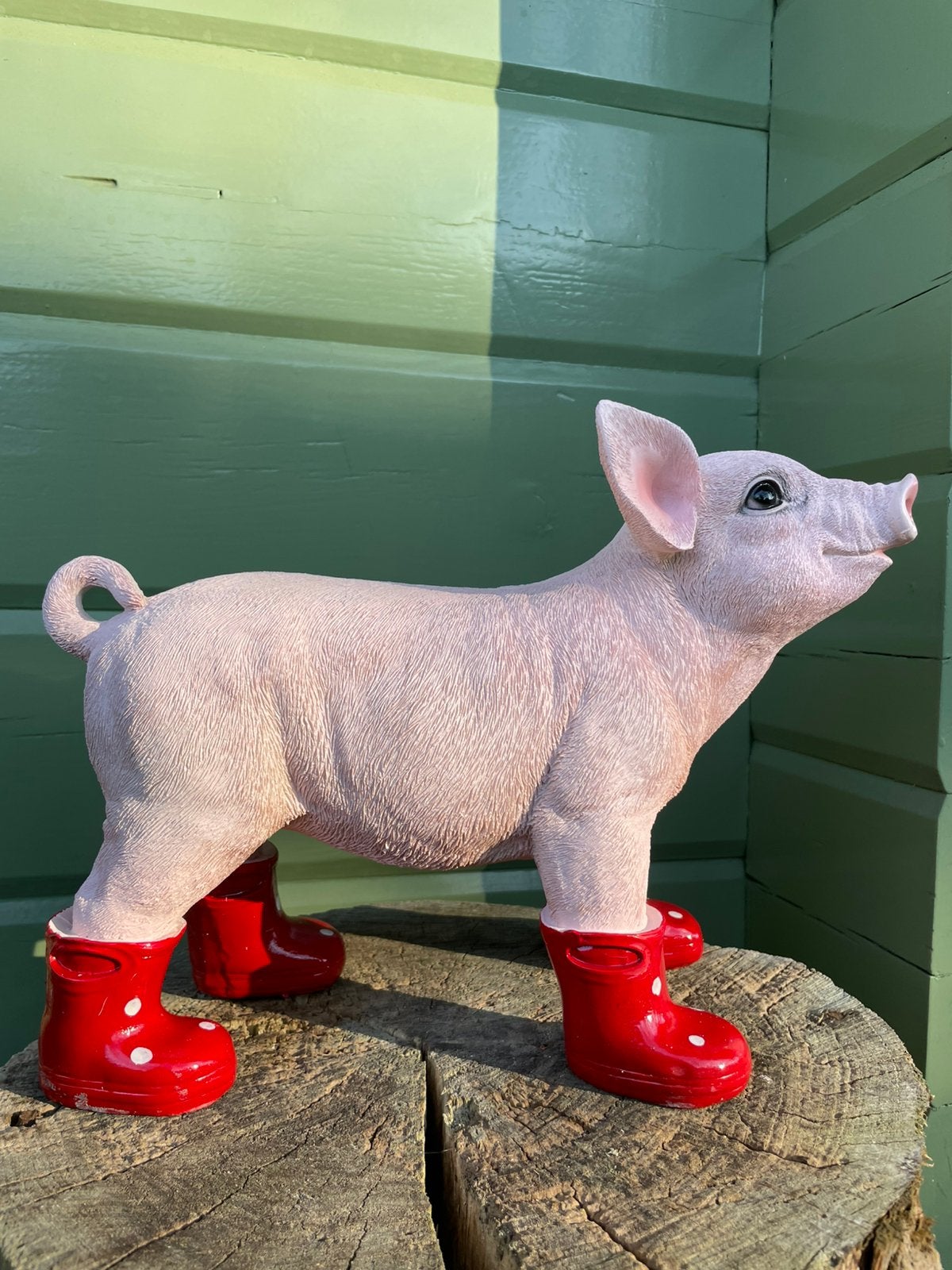 Varken big rode regenlaarsjes boerderij boer stal, Tuin en Terras, Tuinbeelden, Ophalen of Verzenden, Nieuw, Kunststof, Dierenbeeld