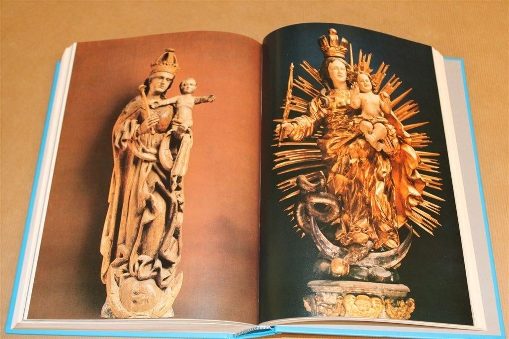 Het Mariabeeld — Madonna\'s uit 1350-1800, Ophalen of Verzenden, Zo goed als nieuw