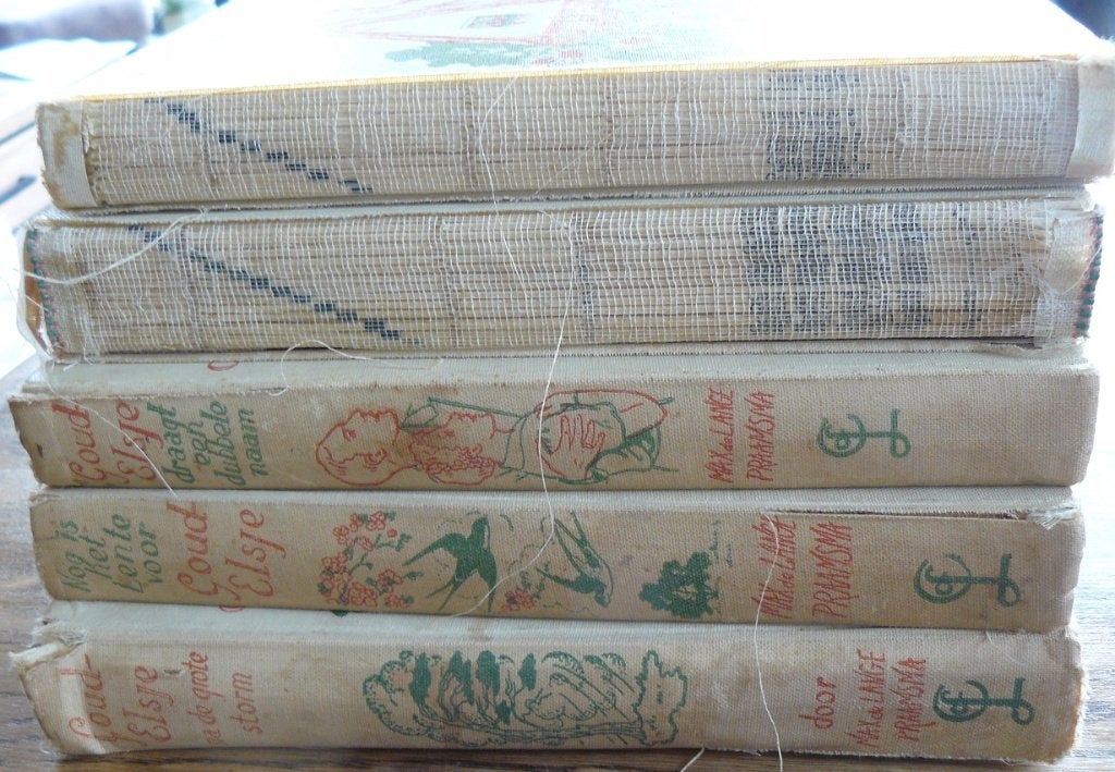 Goud-Elsje, Max de Lange-Praamsma, Boeken, Ophalen of Verzenden, Gelezen