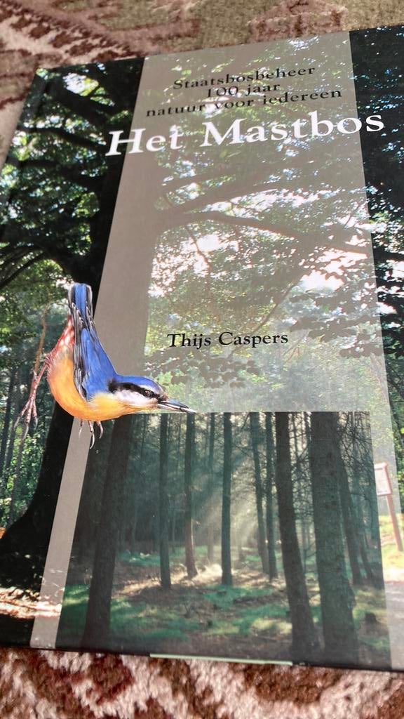 T. Caspers . Breda.- Het Mastbos., Ophalen of Verzenden, Zo goed als nieuw, T. Caspers