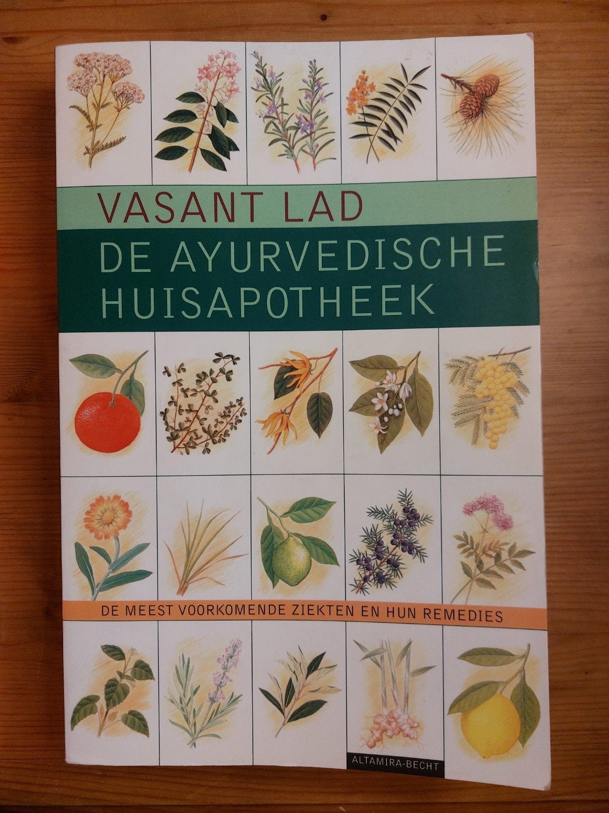 Vasant Lad - De ayurvedische huisapotheek, Sociale wetenschap, Ophalen of Verzenden, Zo goed als nieuw, Vasant Lad