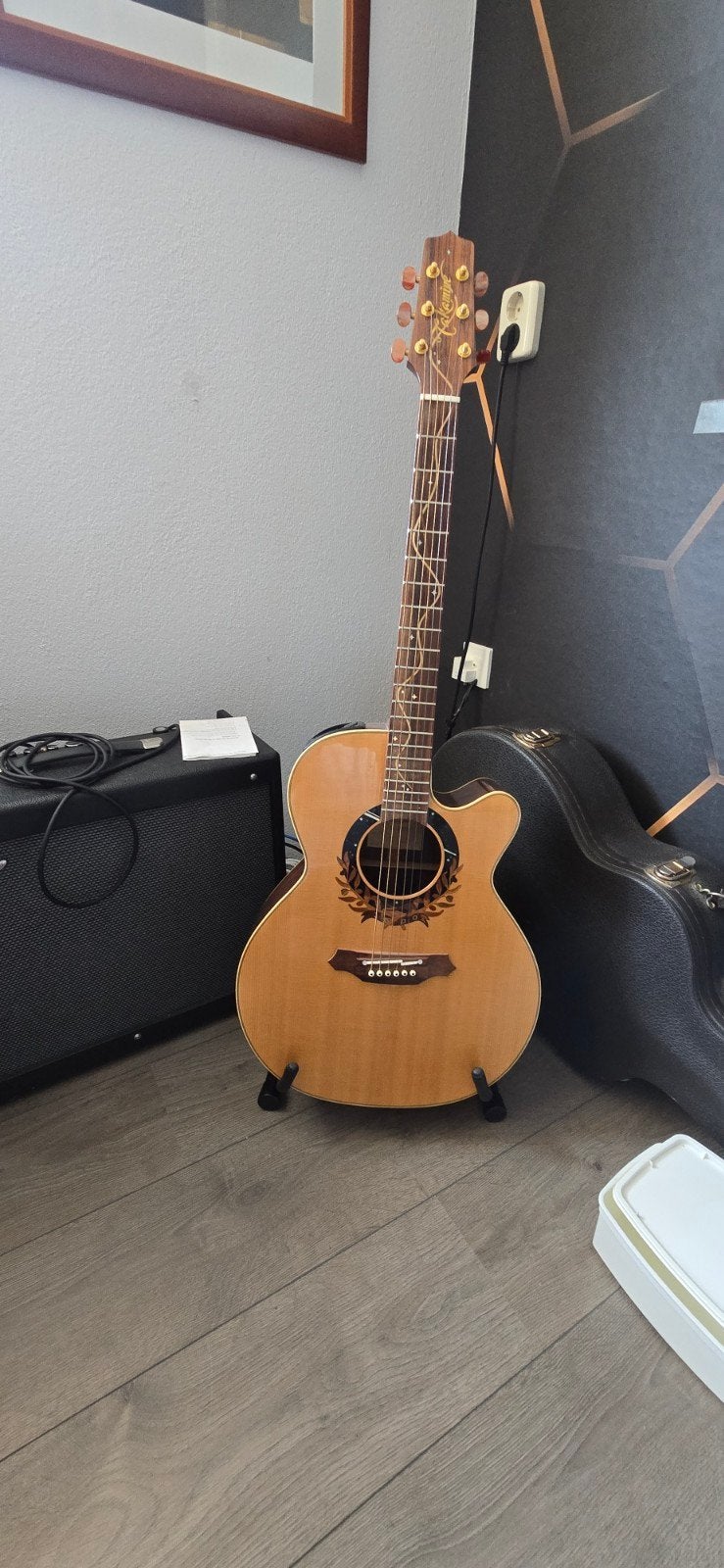 Takamine Millennium Limited 2000 Edition Gitaar, Ophalen, Zo goed als nieuw, Western- of Steelstringgitaar