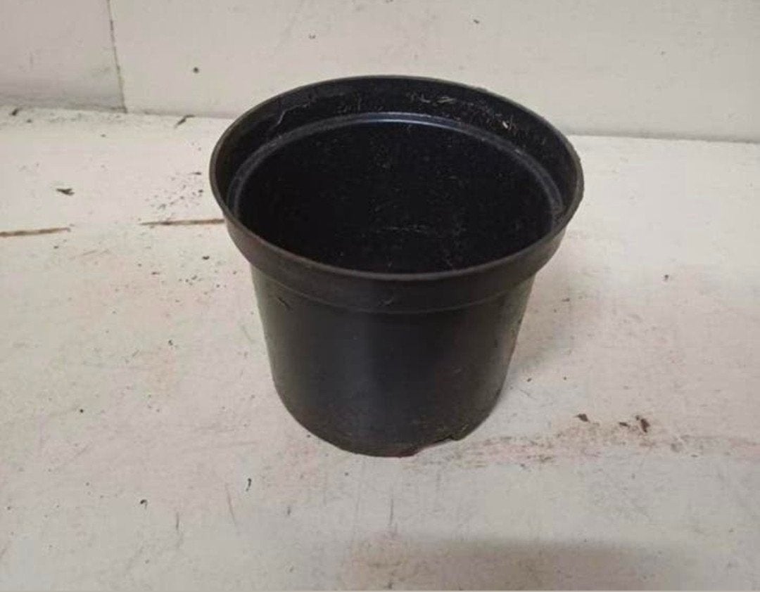 Kweekpotten plantenpotten bloempotten 1,5 liter, Tuin en Terras, Kunststof, Gebruikt, Rond, Ophalen of Verzenden