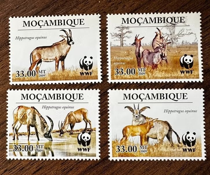 Mozambique 2009 Antilopen dieren WWF postfris, Ophalen of Verzenden, Overige landen, Postfris