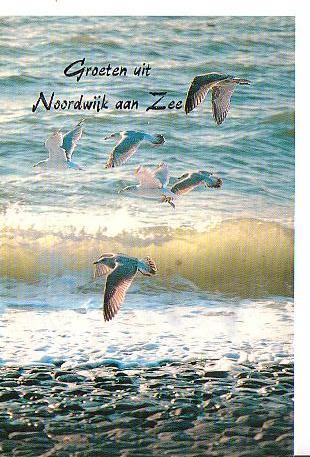 Ansichtkaart Noordwijk Meeuwen, Verzenden, 1960 tot 1980, Gelopen, Zuid-Holland
