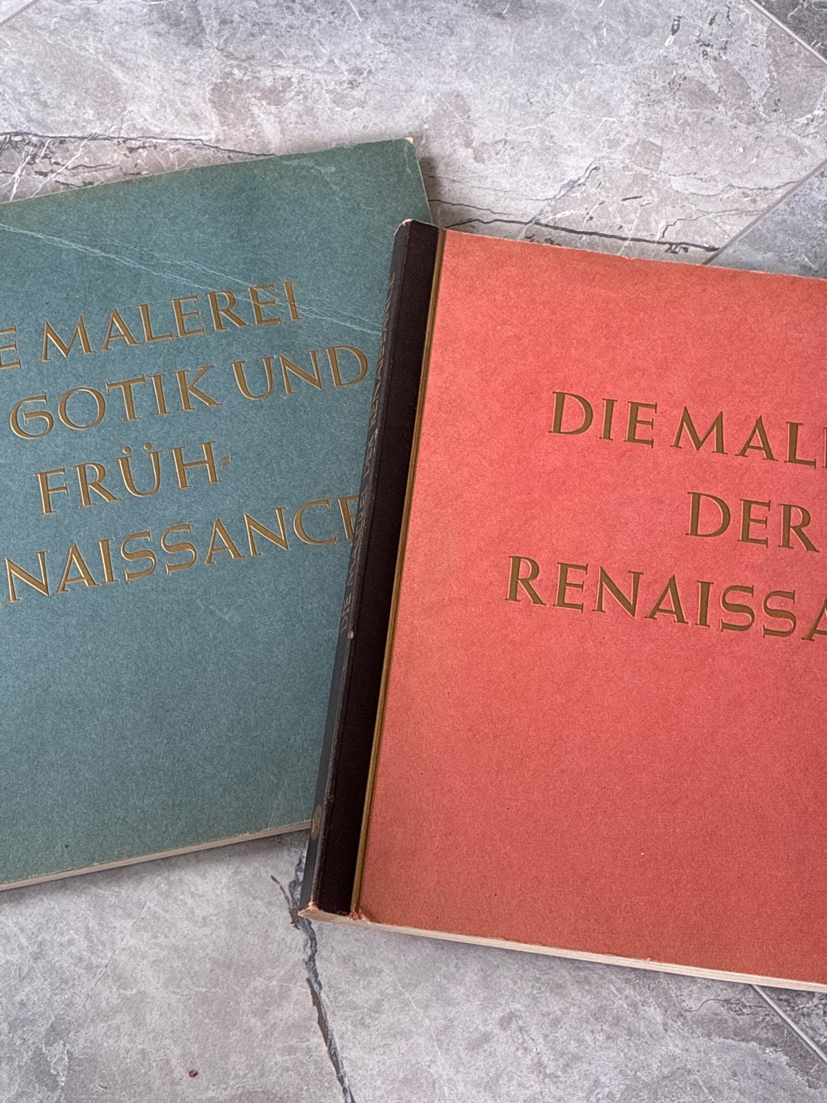 2x Boeken: Gotiek, Vroege Renaissance & Renaissance Kunst, Ophalen of Verzenden, Gelezen, Overige onderwerpen