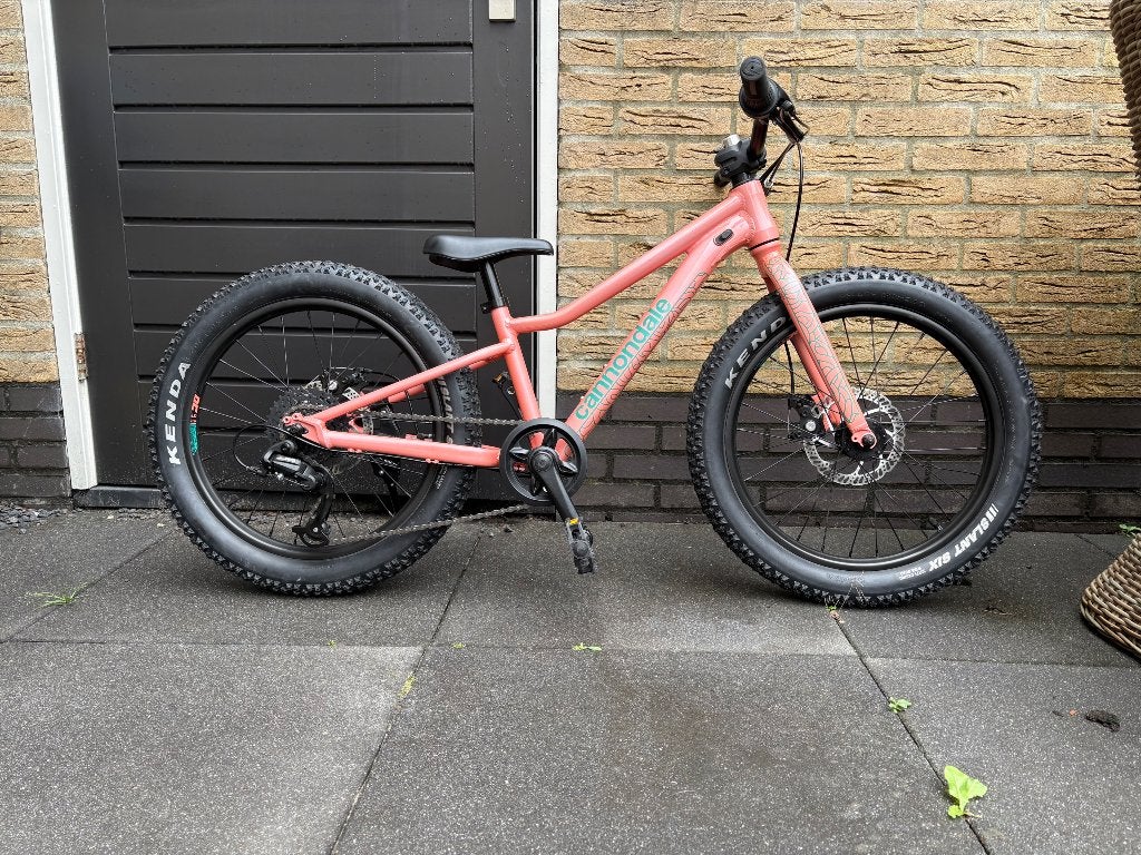 Cannondale kids trail 20, Zo goed als nieuw, Schijfrem, Ophalen, Overige merken