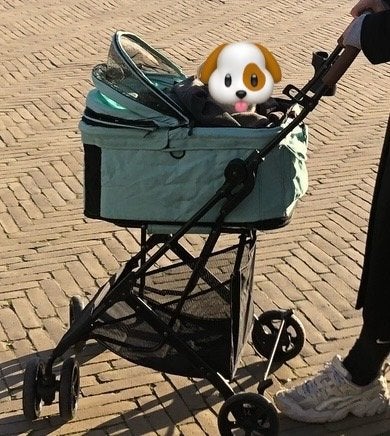 Buggy voor hond of kat, Overige merken, Ophalen, Zo goed als nieuw, Hondenbuggy