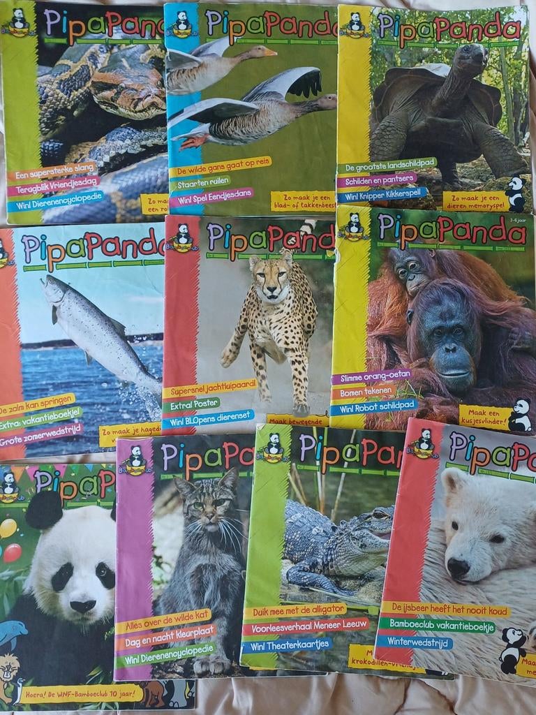 Pipa panda 32 stuks, Boeken, Tijdschriften en Kranten, Gelezen, Ophalen of Verzenden