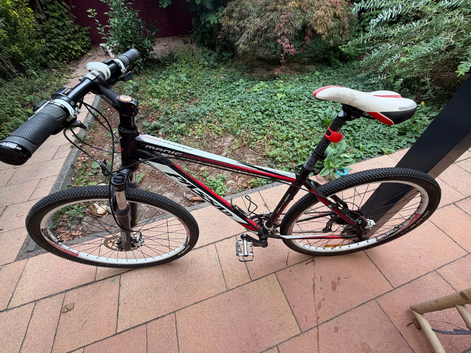 Passati 29er Mountainbike met Shimano versnellingen, Gebruikt, Hardtail, Dames, Schijfrem