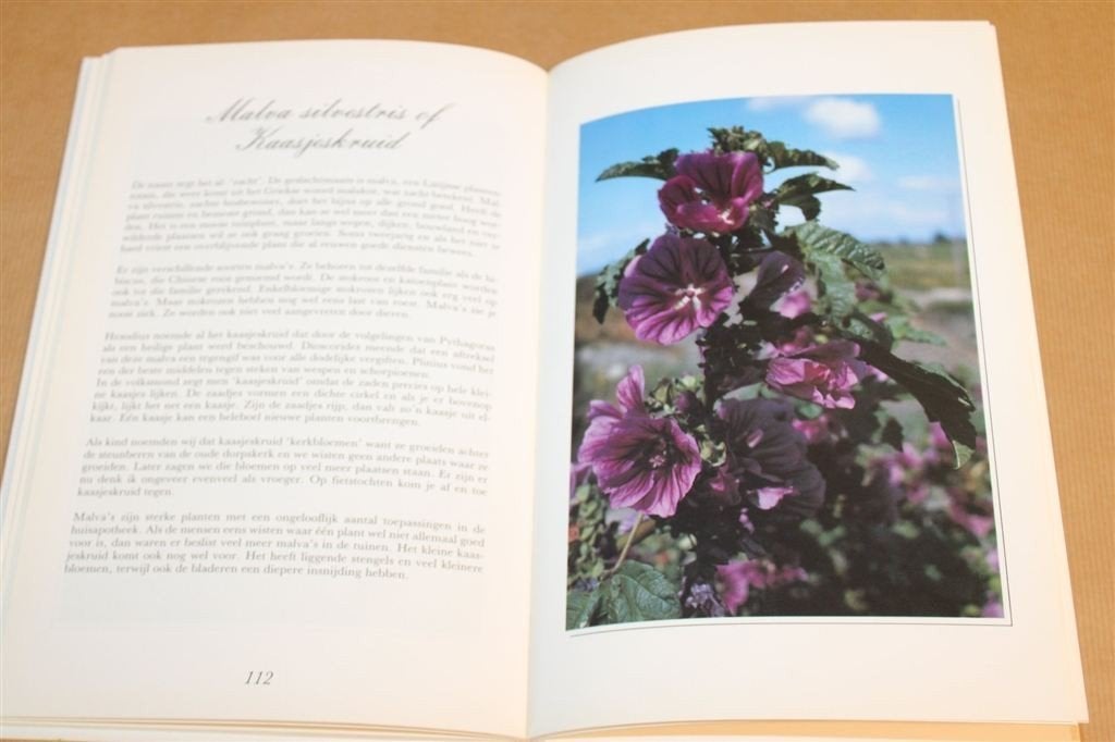 Wilde Planten & Geneeskracht — Klazien uit Zalk, Boeken, Ophalen of Verzenden, Gelezen, Kruiden en Alternatief