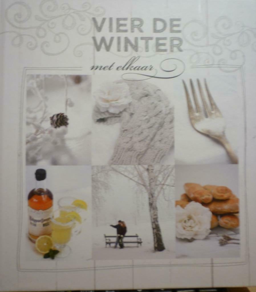Vier de winter met elkaar - Floor van Dinteren"", Ophalen of Verzenden, Zo goed als nieuw, Floor van Dinteren