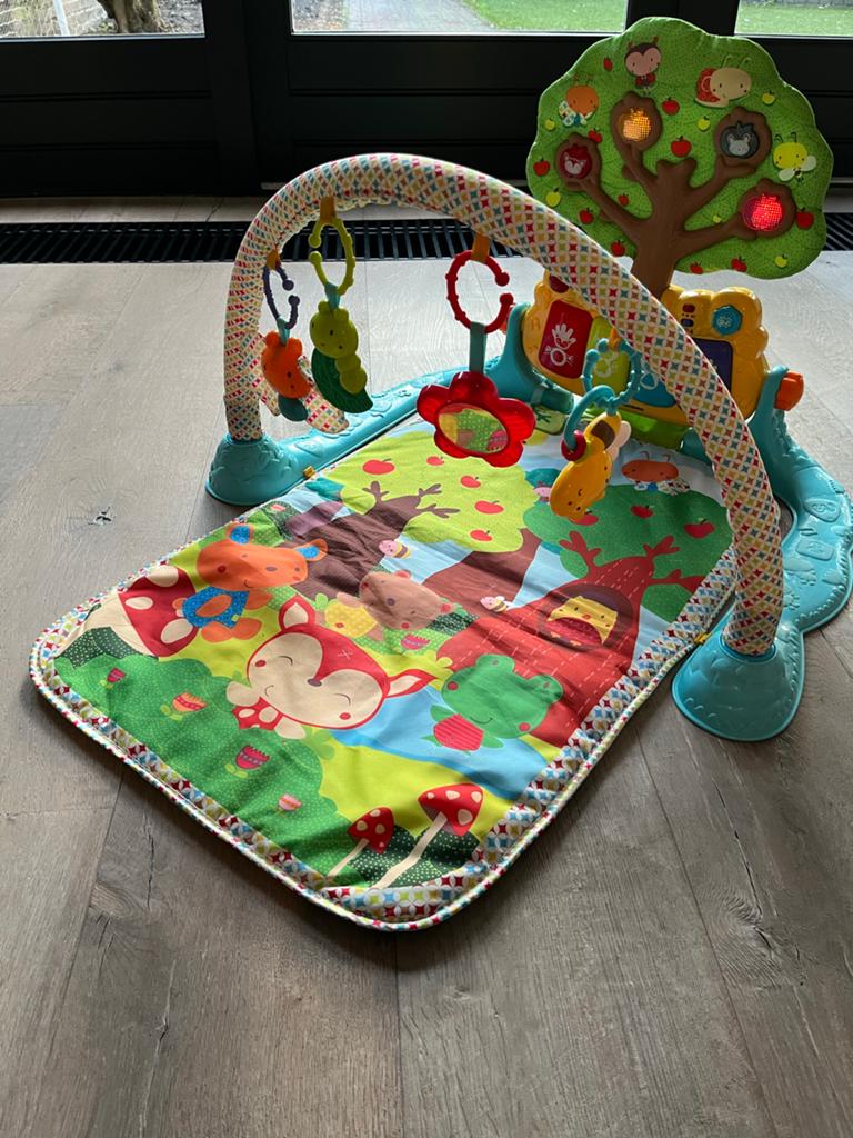 Vtech Dierenvriendjes Speelmat/Babygym - Groeit Mee!, Ophalen of Verzenden, Zo goed als nieuw, Babygym, Met geluid