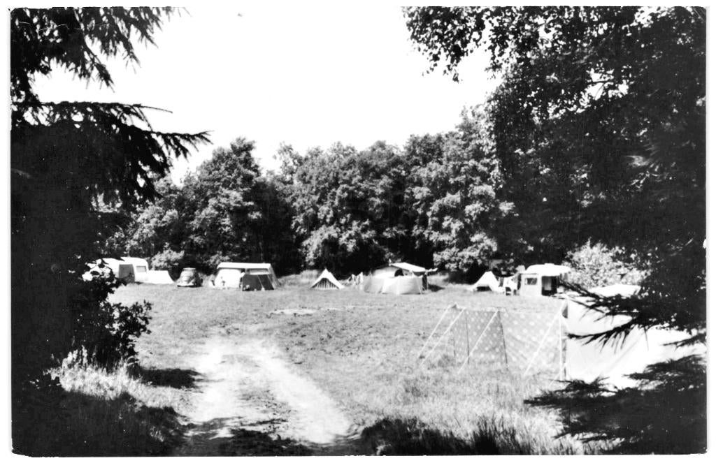 939464 Assen 1973 Drenthe Witterzomer Camping Gelopen