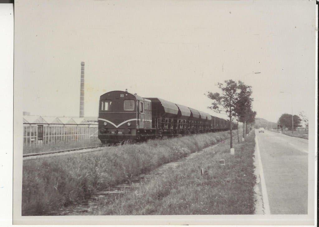 Westland Stoomlocomotief rijdt langs de kassen foto, Ophalen of Verzenden, Ongelopen, Zuid-Holland