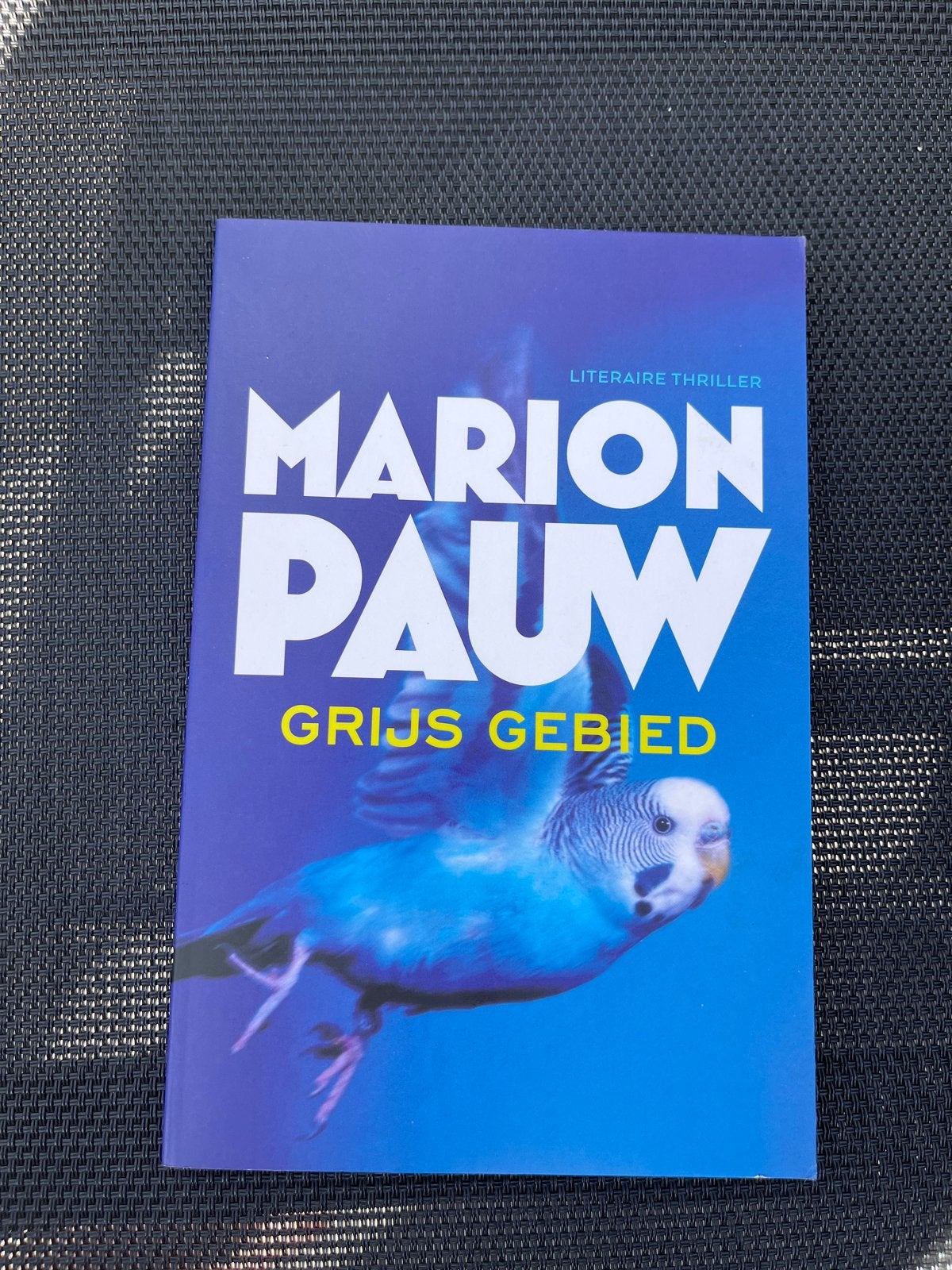 Marion Pauw - Grijs Gebied (Literaire Thriller), Ophalen of Verzenden, Zo goed als nieuw, Nederland