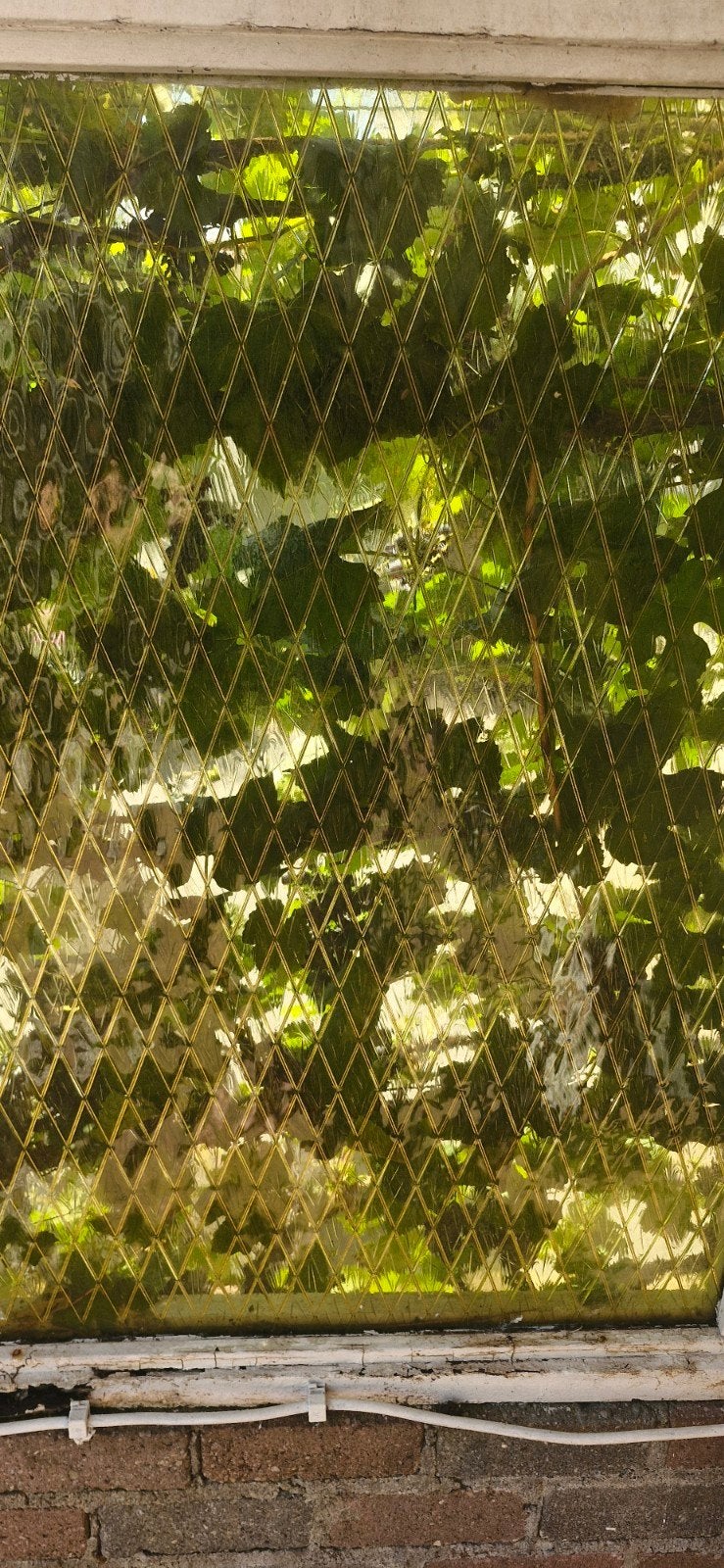 Sierglas Figuurglas, Doe-het-zelf en Verbouw, Glas en Ramen, Ophalen, Gebruikt, Minder dan 80 cm, Minder dan 80 cm