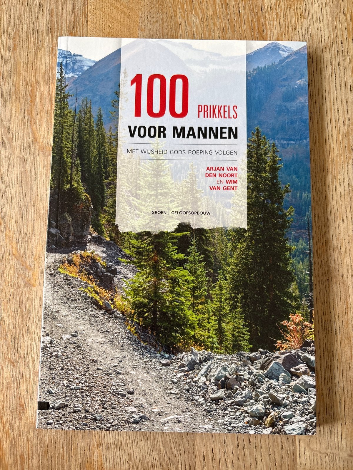 100 Prikkels voor Mannen - Inspirerend Boek, Ophalen of Verzenden, Nieuw, Christendom | Protestants