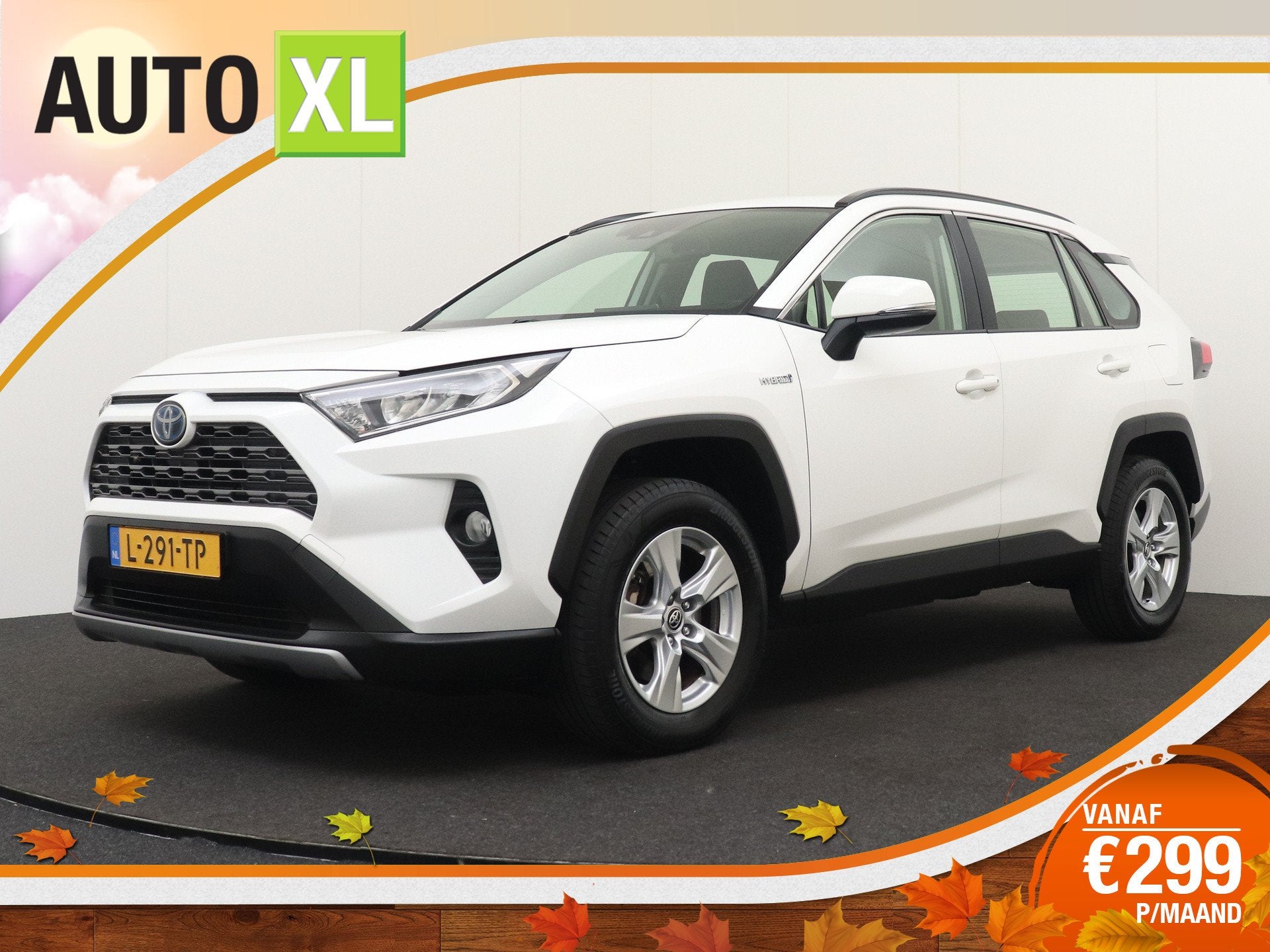 Toyota RAV4 2.5 Hybrid Active Adapt. Cruise Carplay Camera, Dealer onderhouden, Stof, Gebruikt, 4 cilinders