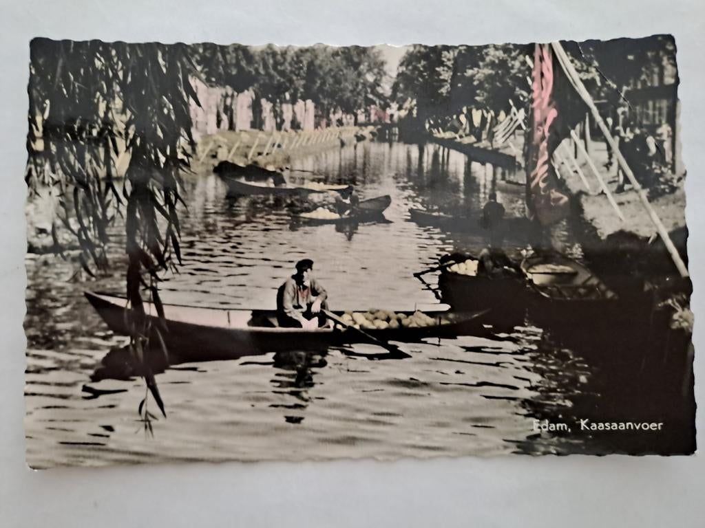 Edam, Kaasaanvoer, Ophalen of Verzenden