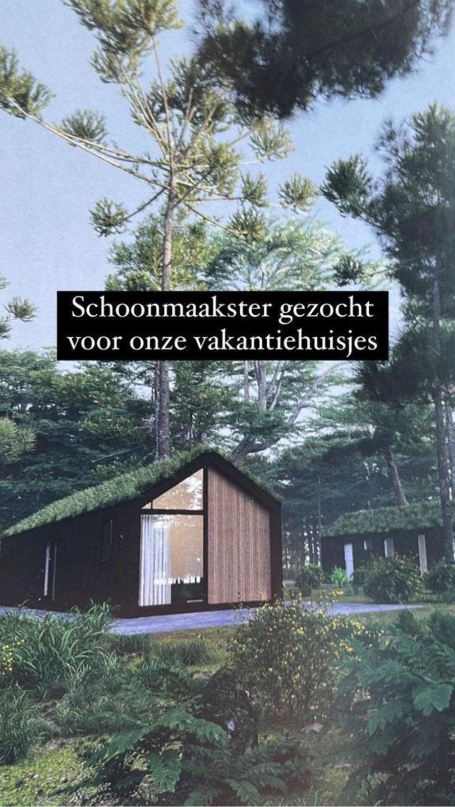 Schoonmaak gezocht vakantiehuisje, Vacatures, Overige niveaus, Overige vormen