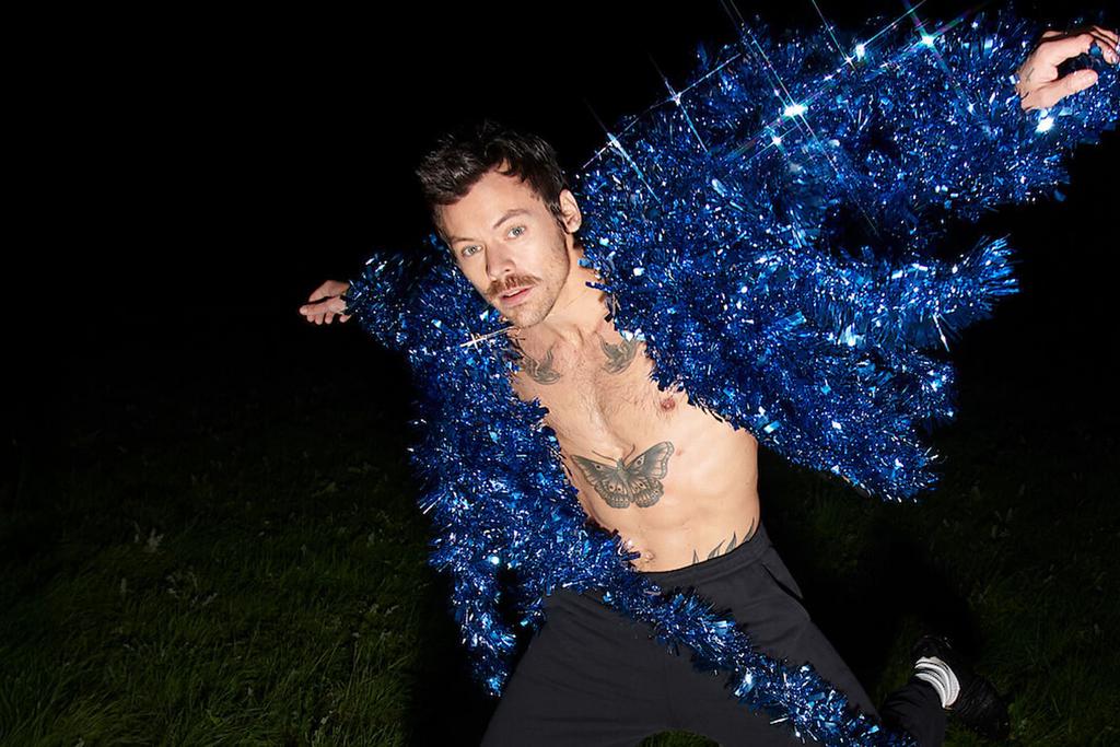 Harry styles tickets, Tickets en Kaartjes, Eén persoon, Mei