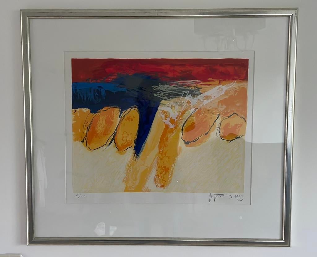 Robbert Fortgens zeefdruk (1999)–gesigneerd 6/100–ingelijst, Ophalen