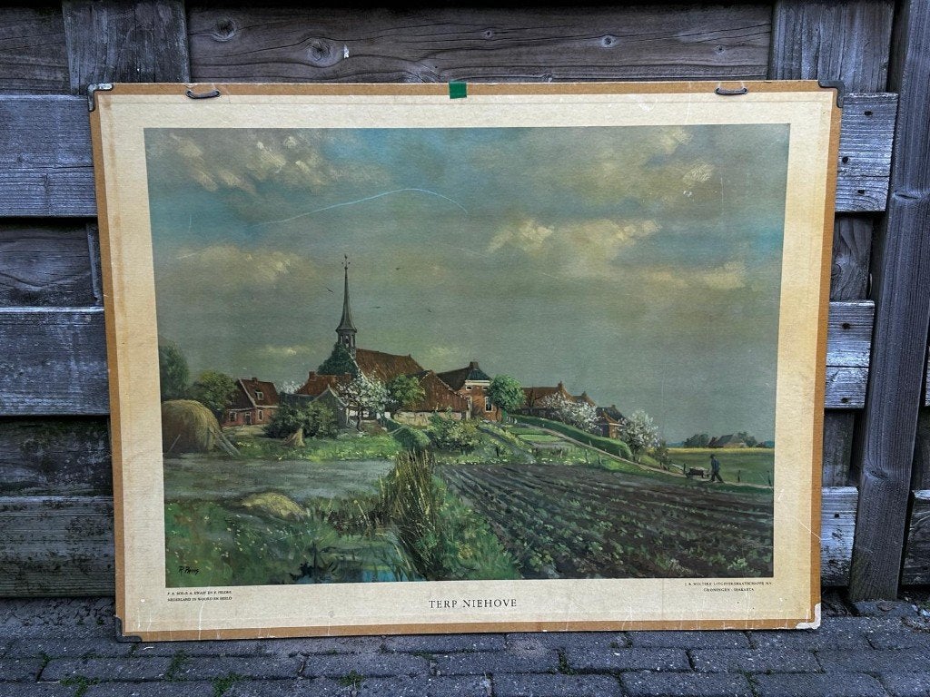 De terp Niehove, Ophalen of Verzenden, Stad- en Dorpsgezichten