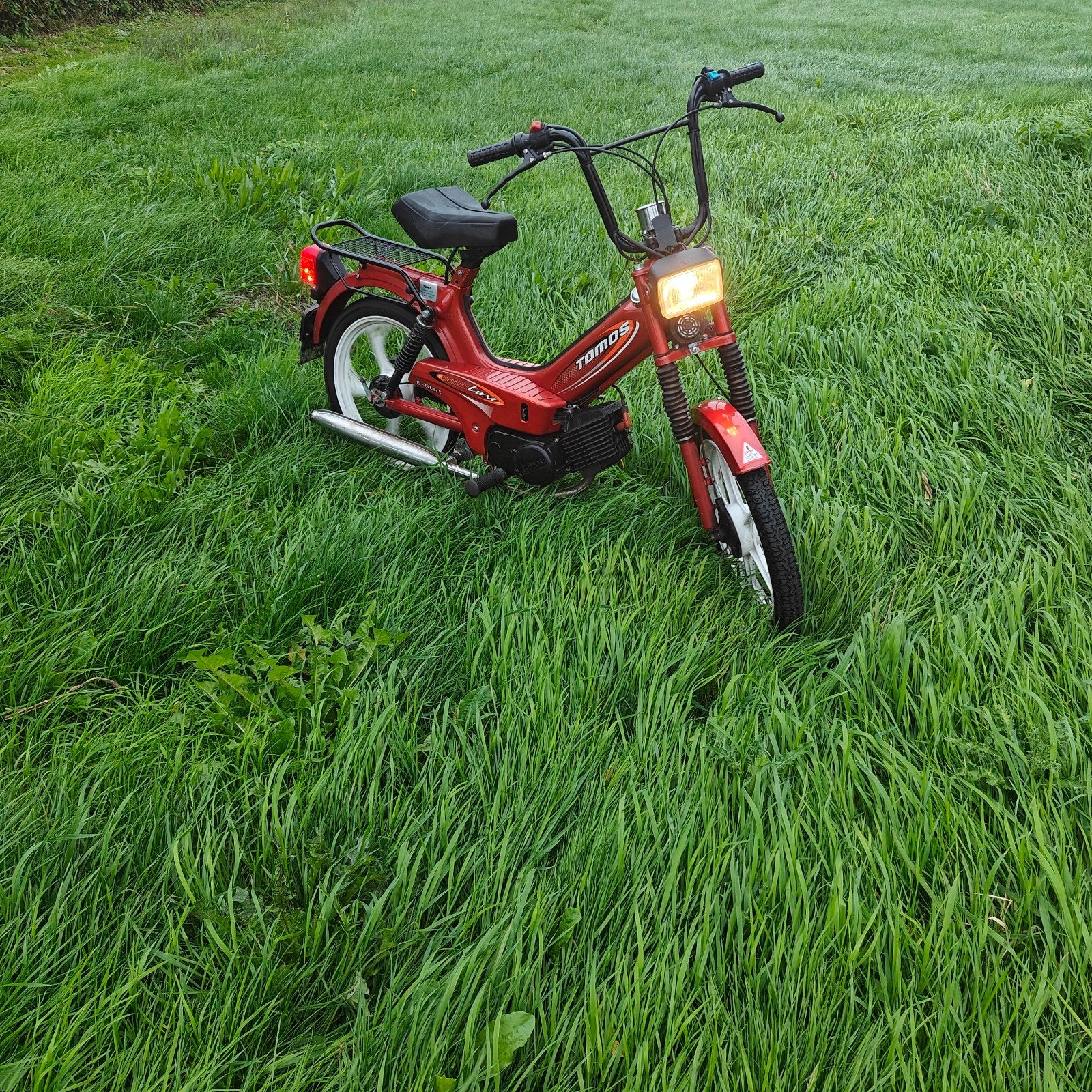 Tomos snorfiets - originele lak, start en loopt goed, Fietsen en Brommers, Maximaal 45 km/u, Ophalen of Verzenden, Zo goed als nieuw