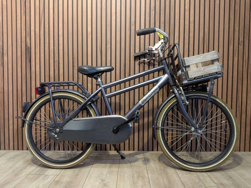 Popal 22 inch jongensfiets, Terugtraprem, 22 inch, Gebruikt, Niet ingevuld
