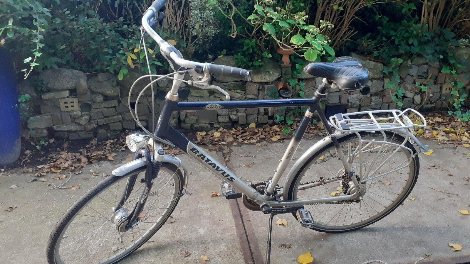 Grote Batavus fiets, frame 65 cm, Ophalen