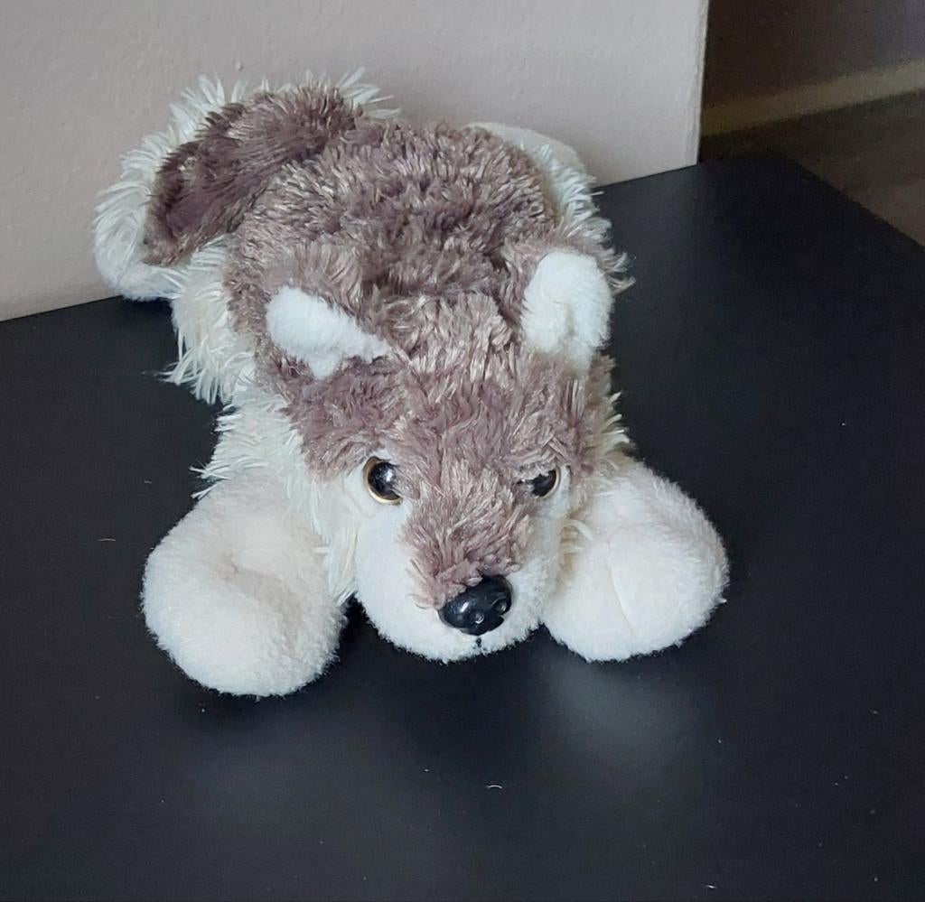 Schattige pluche husky knuffel, Ophalen, Hond, Zo goed als nieuw, Middelgroot (20 tot 80 cm)
