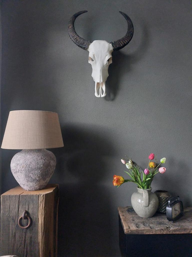 Bison schedel als decoratie voor aan de muur, Ophalen, Gebruikt, Landelijk, Natuurlijk materiaal