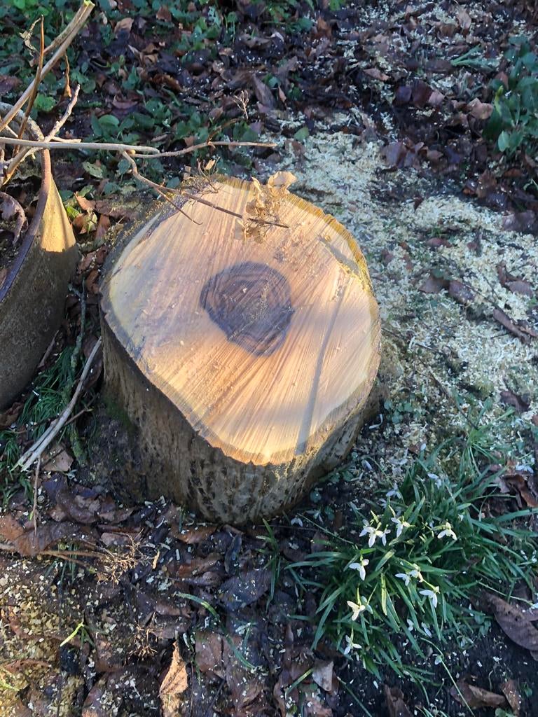 Tuinman, Tuin en Terras, Gras en Kunstgras, Ophalen of Verzenden