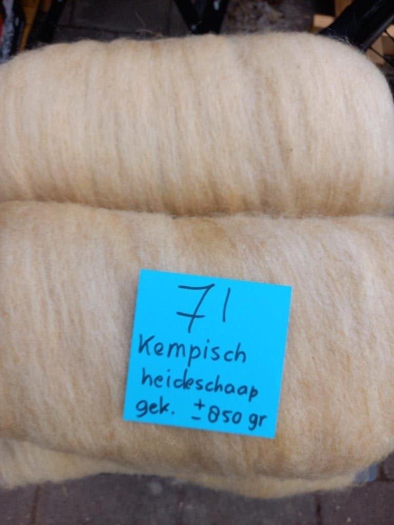 nr 71 Ongewassen gekaard wol kaardvlies Kempisch heideschaap, Ophalen of Verzenden, Nieuw