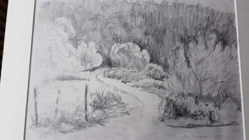originele tekening Ida Zwartkruis 1988 duinen van Schoorl, Ophalen