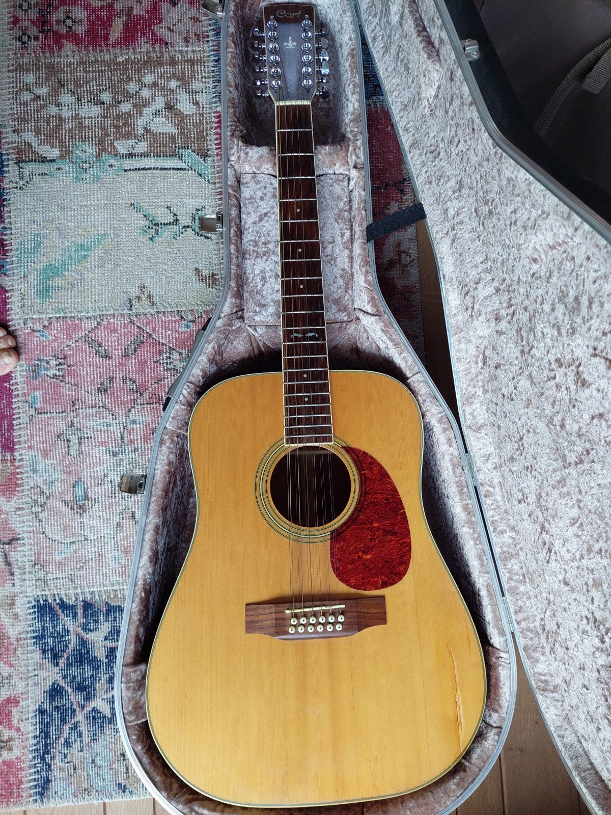 vol klinkende cort, Ophalen, Gebruikt, Western- of Steelstringgitaar, 12-snarig