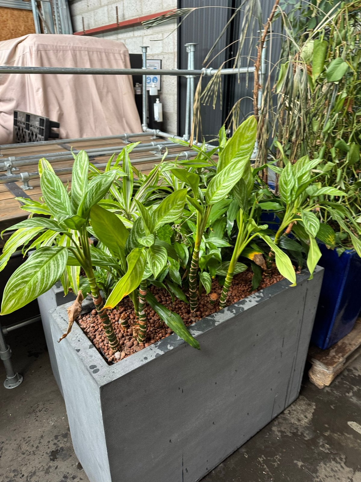 Diverse plantenbakken: 3x groot, 2x middel, 2x klein, Tuin en Terras, Bloembakken en Plantenbakken, Ophalen, Kunststof, Gebruikt