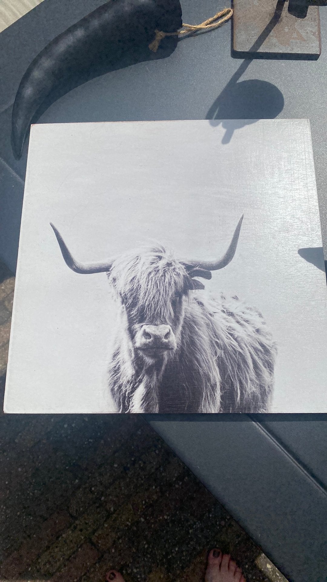 Koeien verzameling, Verzamelen, Dierenverzamelingen, Ophalen, Zo goed als nieuw, Boerderijdier, Overige typen